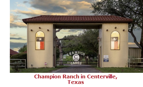 Leon County Champion Ranch in Centerville