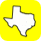 Texas logo