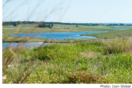 Image of a freshwater lake on the Sandow Lakes Ranch