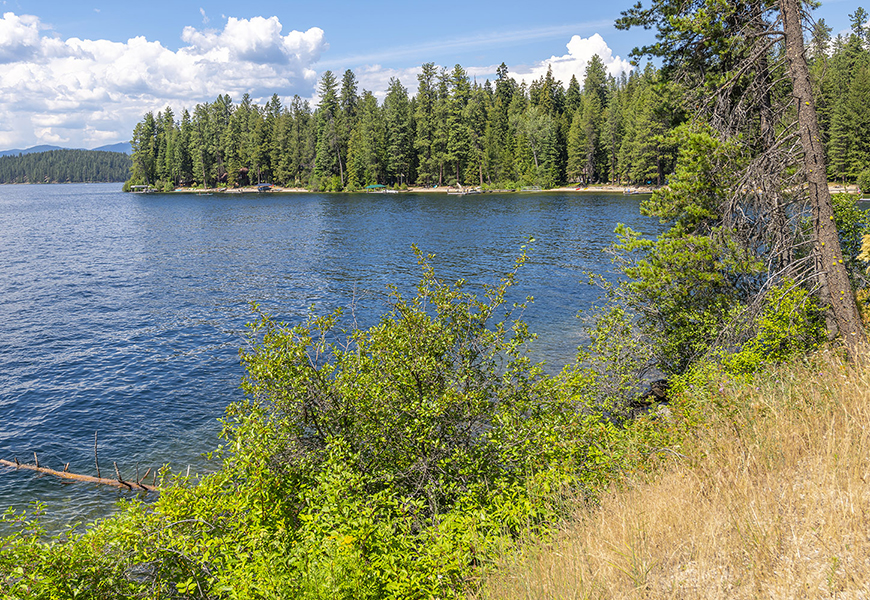 The blue waters of Priest Lake near Cavanaugh Bay, Coolin, Idaho, on a summer day in the Idaho Panhandle.