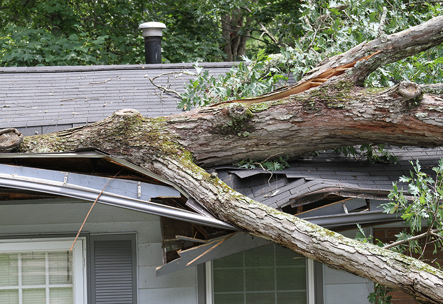 Storm Damage