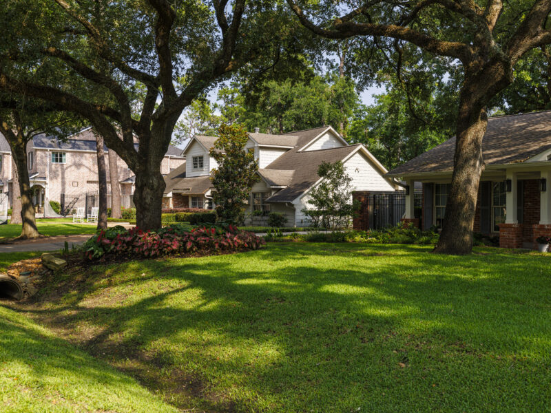 Strolling through shaded wealthy neighborhood. Residential neighborhood adorn tree-lined street in East Houston, TX Peaceful suburban area features single-family homes among towering trees. Well-manicured lawns with colorful flower beds stretch across the foreground. Scene exudes community and prosperity in East Houston, Texas residential area.